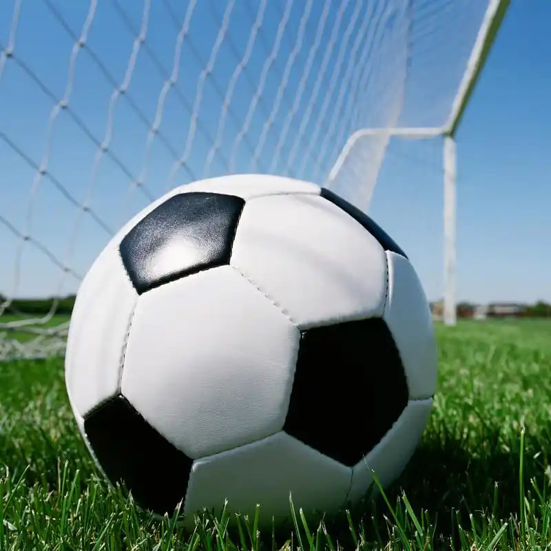 今天足彩预测平台功能展示